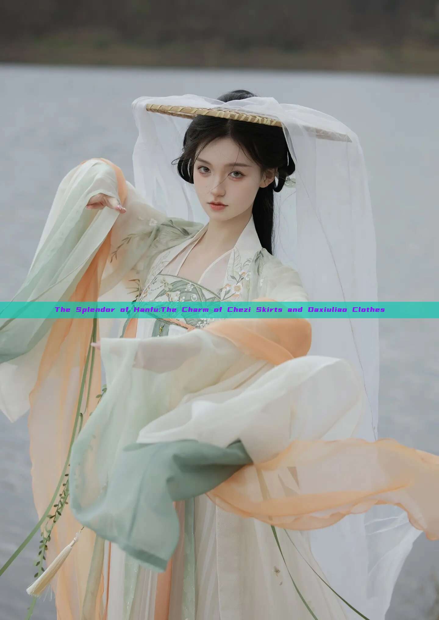 The Splendor of Hanfu:The Charm of Chezi Skirts and Daxiuliao Clothes The Splendor of Hanfu:The Charm of Chezi Skirts and Daxiuliao Clothes