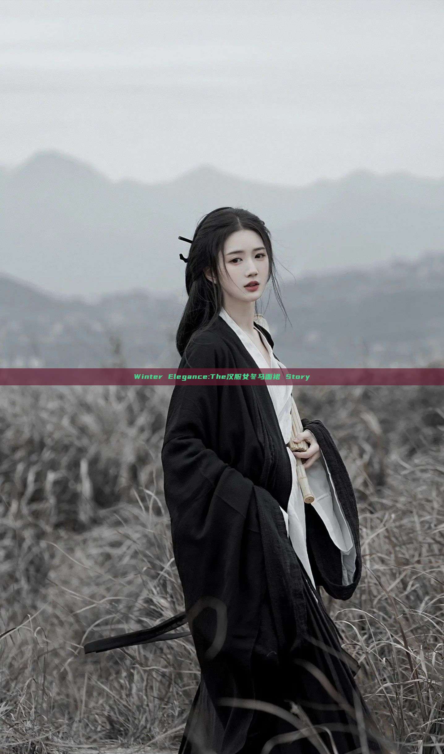 Winter Elegance:The汉服女冬马面裙 Story Winter Elegance:The汉服女冬马面裙 Story