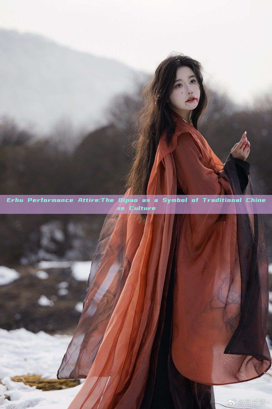 Erhu Performance Attire:The Qipao as a Symbol of Traditional Chinese Culture Erhu Performance Attire:The Qipao as a Symbol of Traditional Chinese Culture