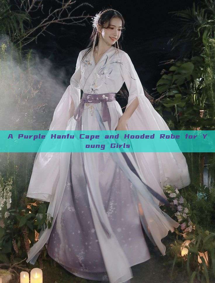 A Purple Hanfu Cape and Hooded Robe for Young Girls A Purple Hanfu Cape and Hooded Robe for Young Girls