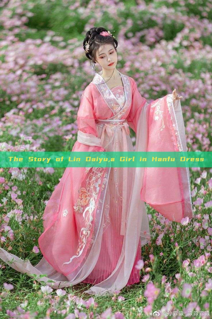 The Story of Lin Daiyu,a Girl in Hanfu Dress The Story of Lin Daiyu,a Girl in Hanfu Dress