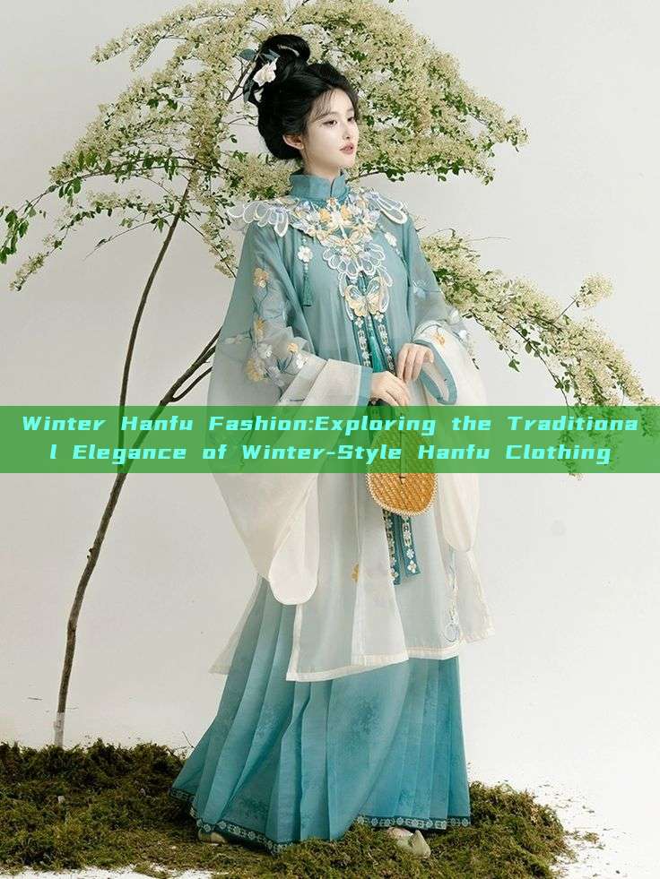 Winter Hanfu Fashion:Exploring the Traditional Elegance of Winter-Style Hanfu Clothing Winter Hanfu Fashion:Exploring the Traditional Elegance of Winter-Style Hanfu Clothing