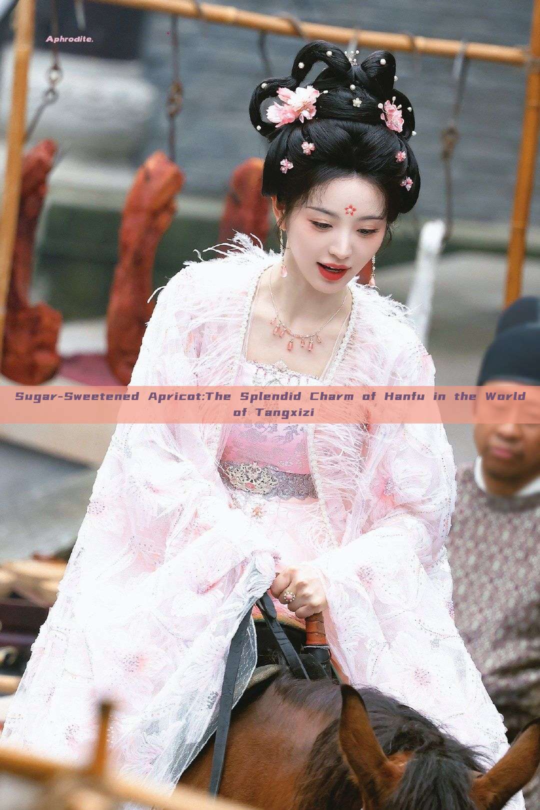 Sugar-Sweetened Apricot:The Splendid Charm of Hanfu in the World of Tangxizi Sugar-Sweetened Apricot:The Splendid Charm of Hanfu in the World of Tangxizi