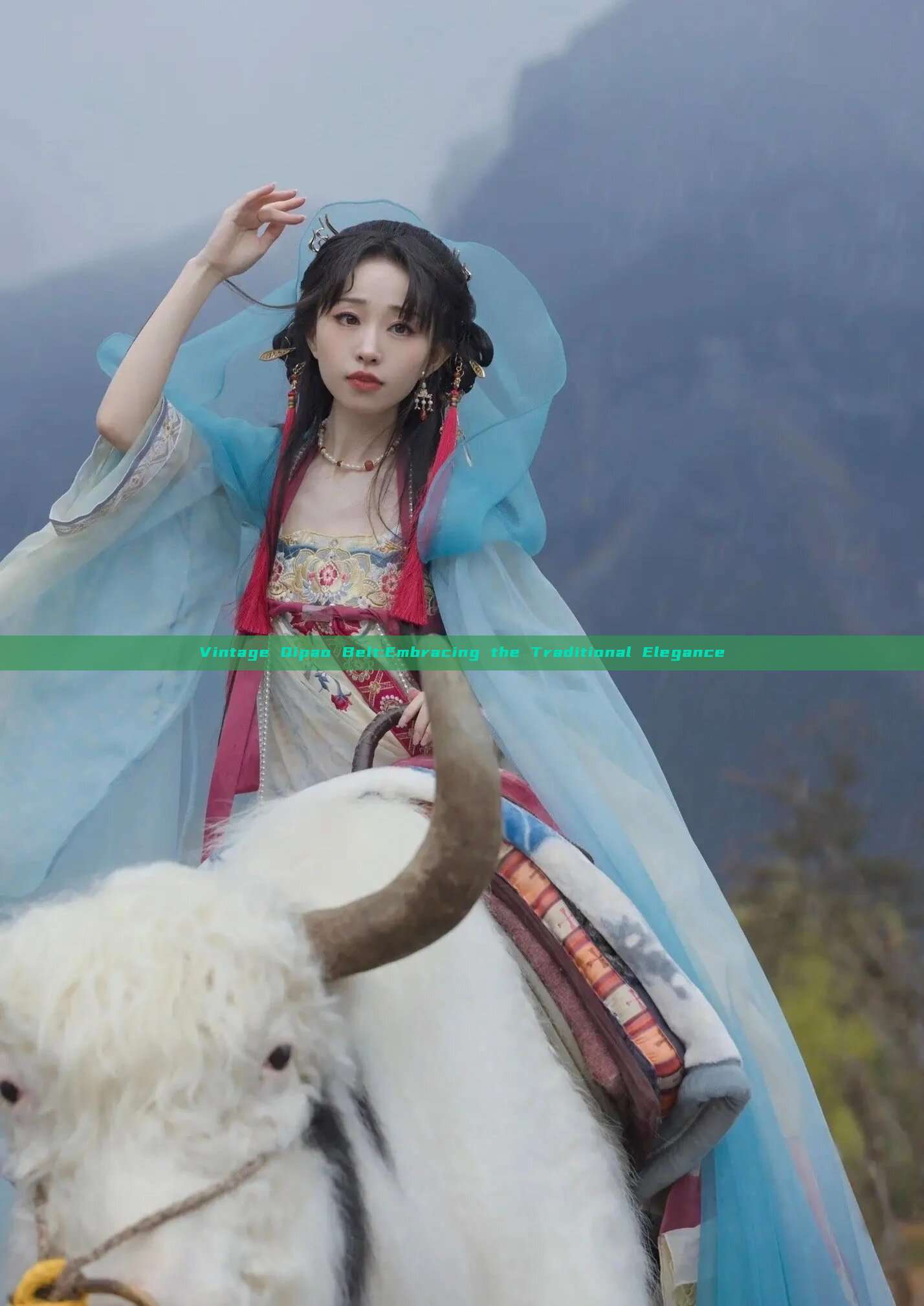 Vintage Qipao Belt:Embracing the Traditional Elegance Vintage Qipao Belt:Embracing the Traditional Elegance
