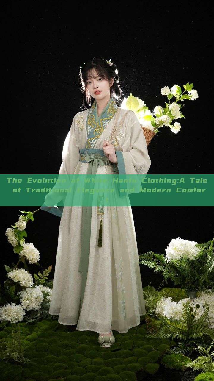 The Evolution of White Hanfu Clothing:A Tale of Traditional Elegance and Modern Comfort The Evolution of White Hanfu Clothing:A Tale of Traditional Elegance and Modern Comfort