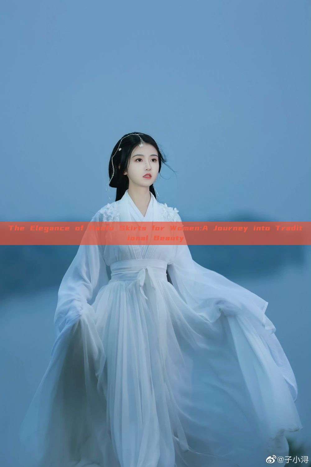 The Elegance of Hanfu Skirts for Women:A Journey into Traditional Beauty The Elegance of Hanfu Skirts for Women:A Journey into Traditional Beauty