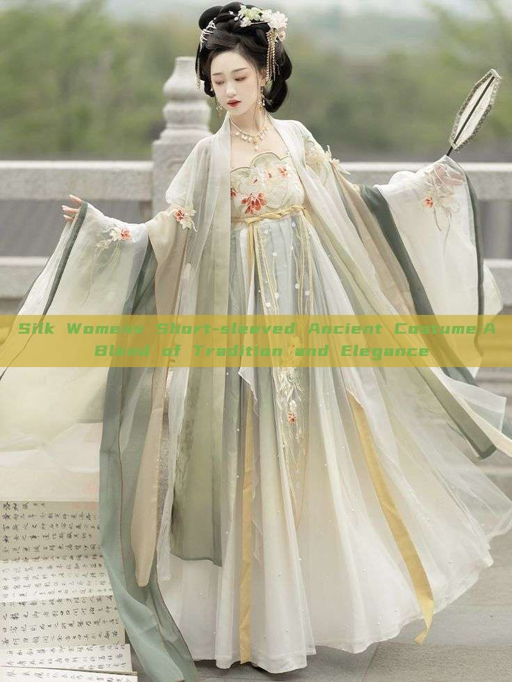Silk Womens Short-sleeved Ancient Costume:A Blend of Tradition and Elegance Silk Womens Short-sleeved Ancient Costume:A Blend of Tradition and Elegance