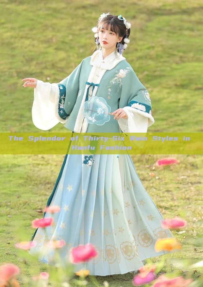 The Splendor of Thirty-Six Rain Styles in Hanfu Fashion The Splendor of Thirty-Six Rain Styles in Hanfu Fashion