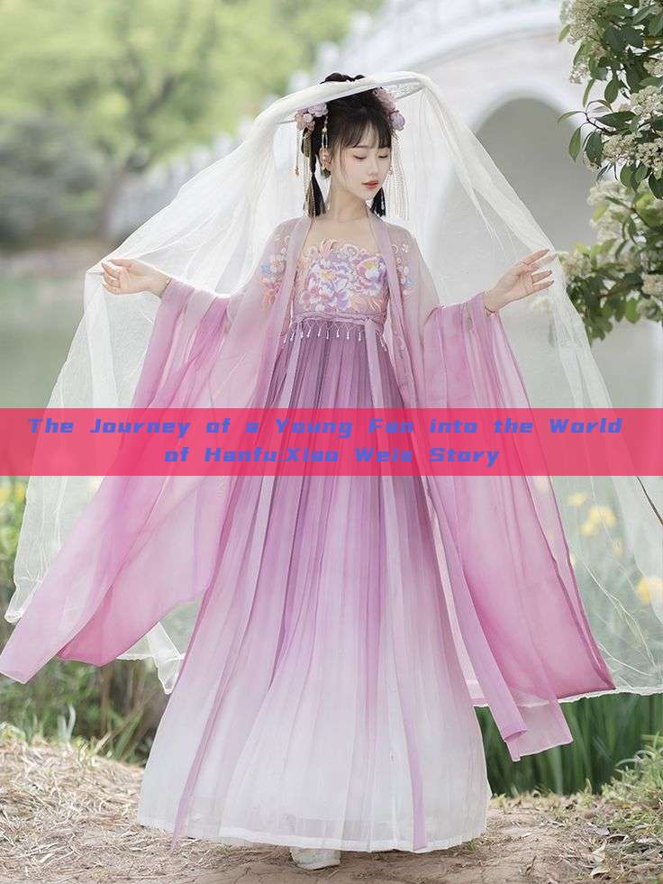 The Journey of a Young Fan into the World of Hanfu:Xiao Weis Story The Journey of a Young Fan into the World of Hanfu:Xiao Weis Story