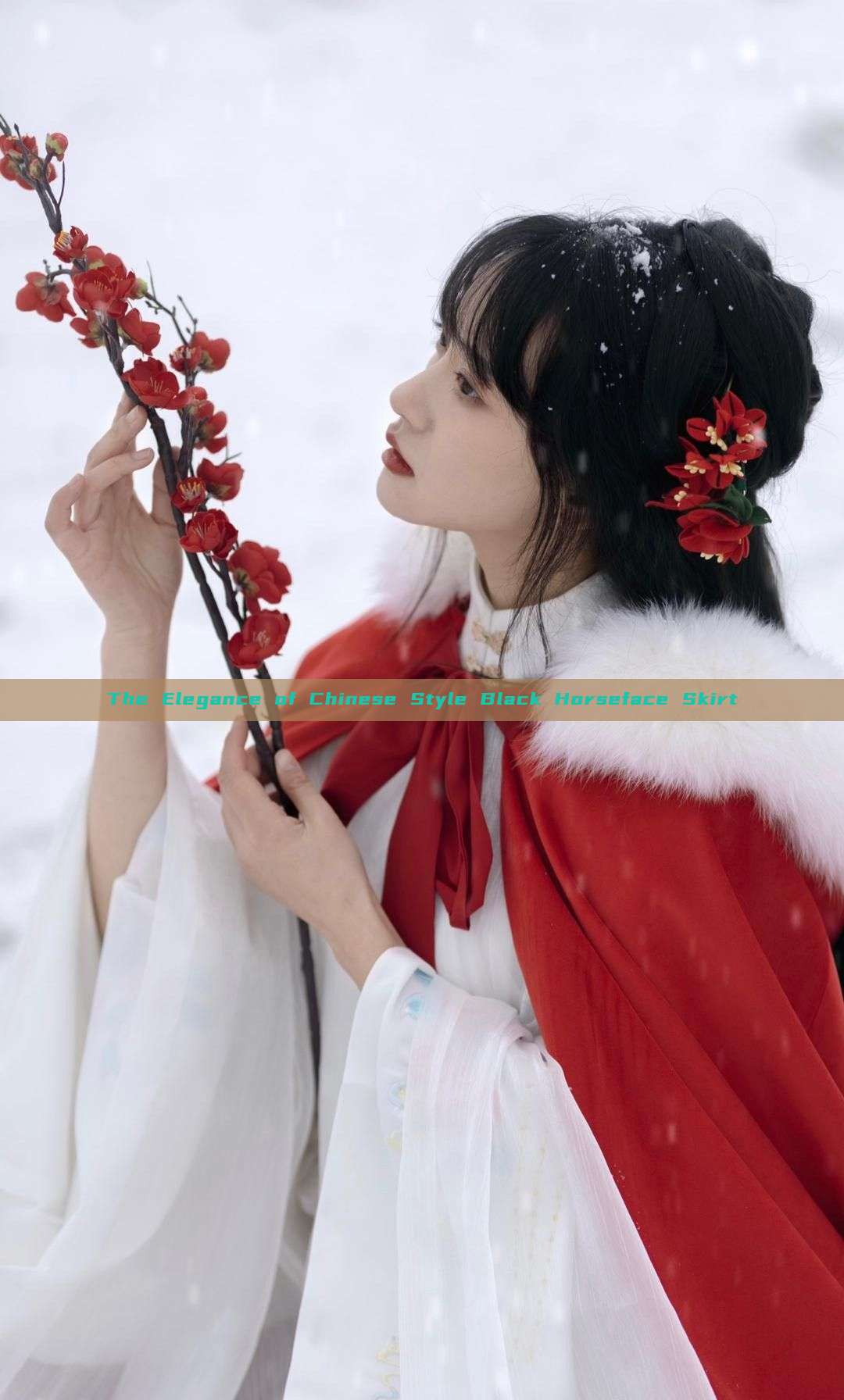 The Elegance of Chinese Style Black Horseface Skirt The Elegance of Chinese Style Black Horseface Skirt