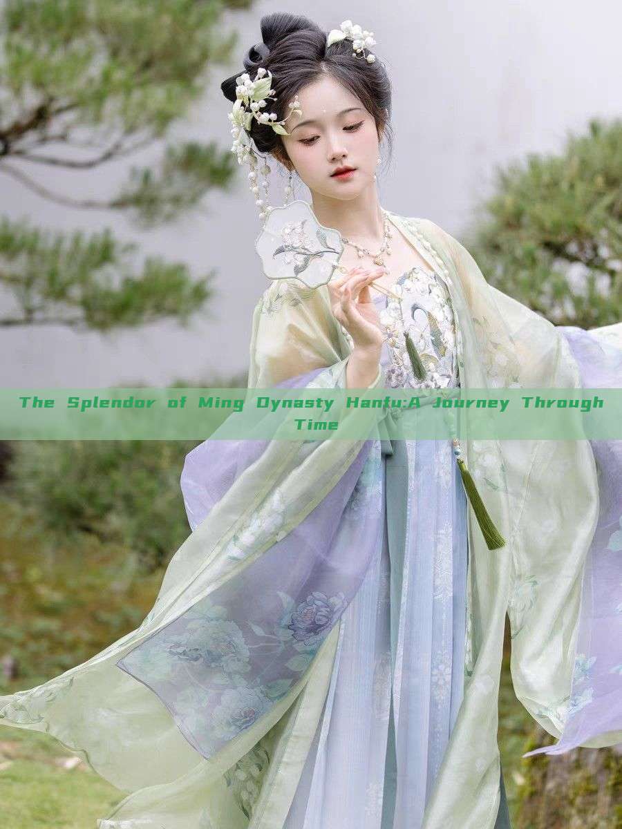 The Splendor of Ming Dynasty Hanfu:A Journey Through Time The Splendor of Ming Dynasty Hanfu:A Journey Through Time