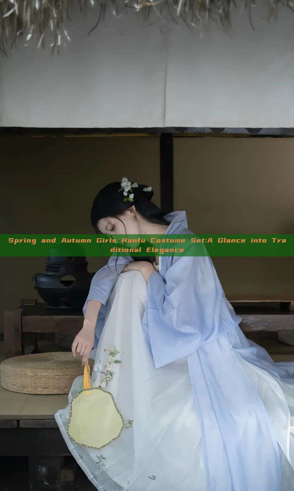 Spring and Autumn Girls Hanfu Costume Set:A Glance into Traditional Elegance Spring and Autumn Girls Hanfu Costume Set:A Glance into Traditional Elegance