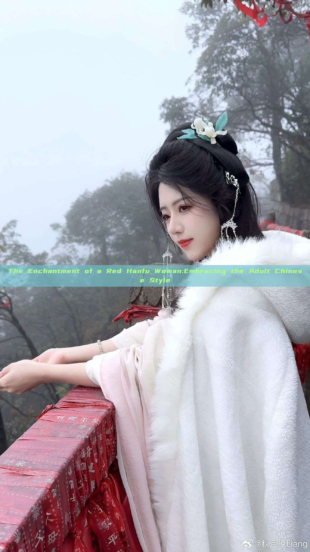 The Enchantment of a Red Hanfu Woman:Embracing the Adult Chinese Style The Enchantment of a Red Hanfu Woman:Embracing the Adult Chinese Style
