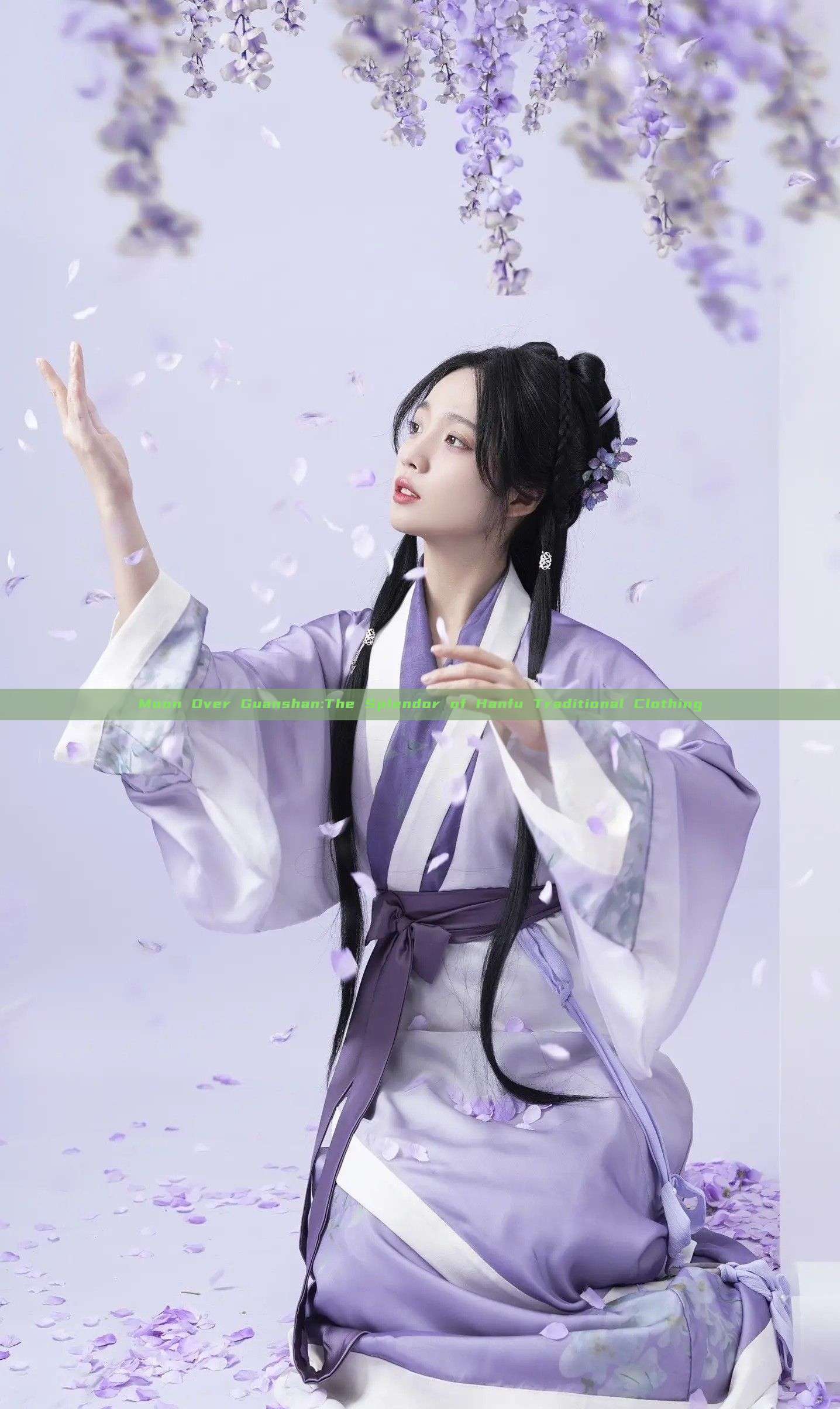 Moon Over Guanshan:The Splendor of Hanfu Traditional Clothing Moon Over Guanshan:The Splendor of Hanfu Traditional Clothing