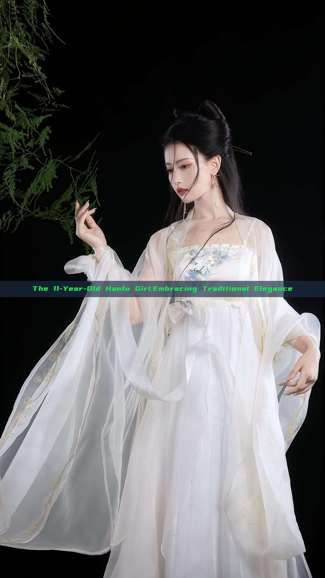 The 11-Year-Old Hanfu Girl:Embracing Traditional Elegance The 11-Year-Old Hanfu Girl:Embracing Traditional Elegance
