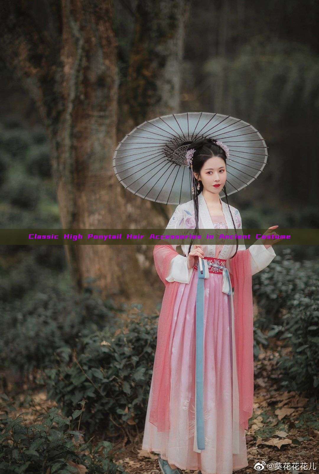Classic High Ponytail Hair Accessories in Ancient Costume Classic High Ponytail Hair Accessories in Ancient Costume