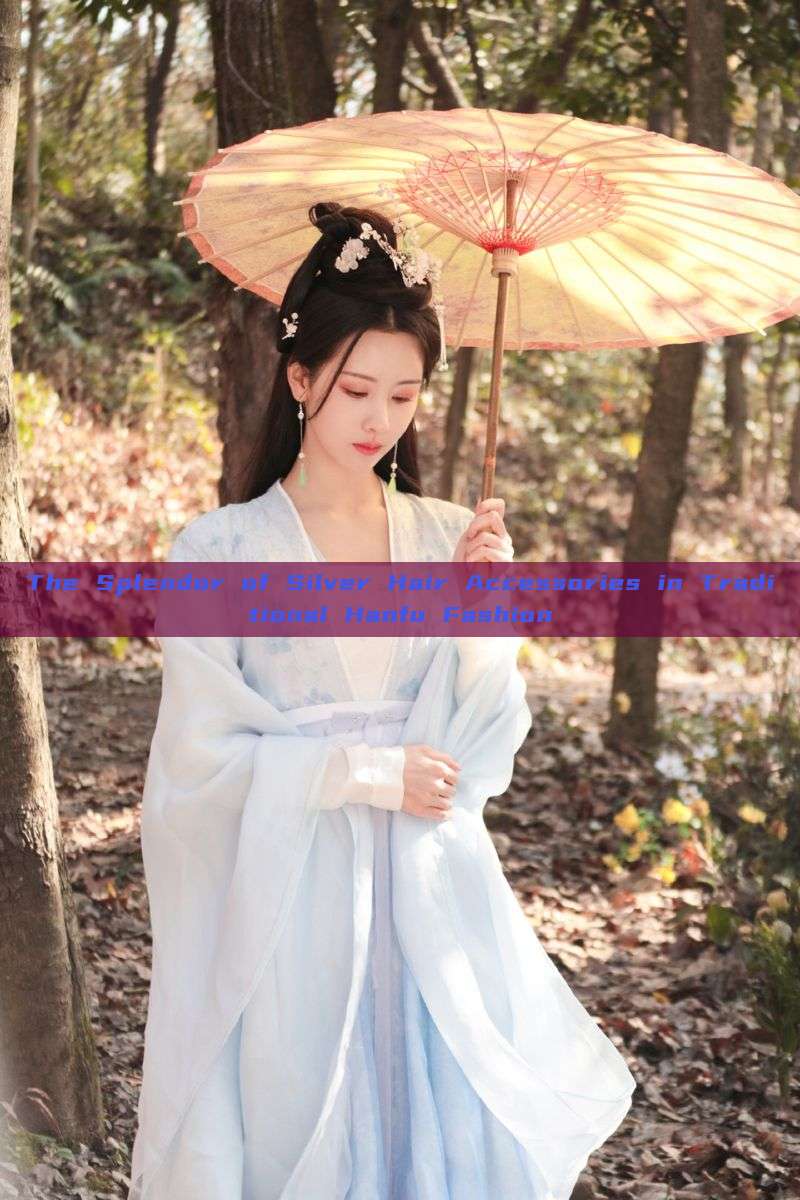 The Splendor of Silver Hair Accessories in Traditional Hanfu Fashion The Splendor of Silver Hair Accessories in Traditional Hanfu Fashion