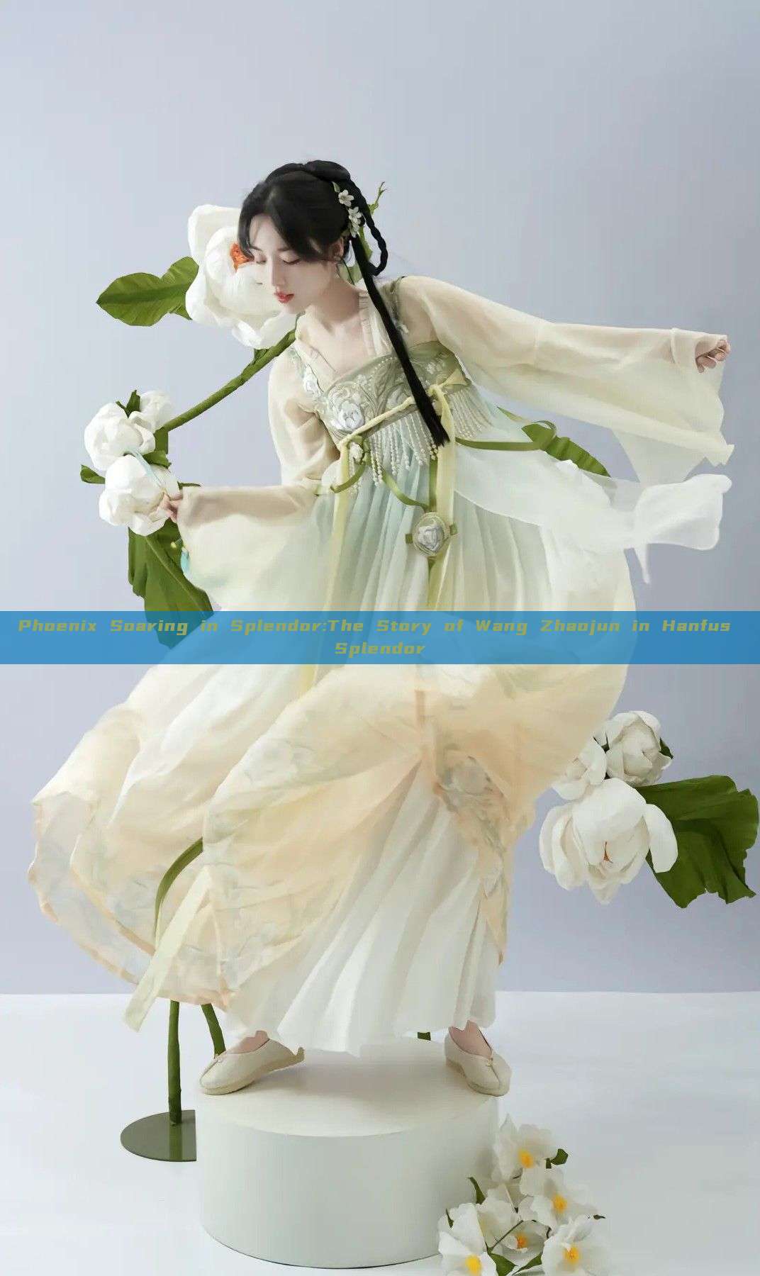 Phoenix Soaring in Splendor:The Story of Wang Zhaojun in Hanfus Splendor Phoenix Soaring in Splendor:The Story of Wang Zhaojun in Hanfus Splendor