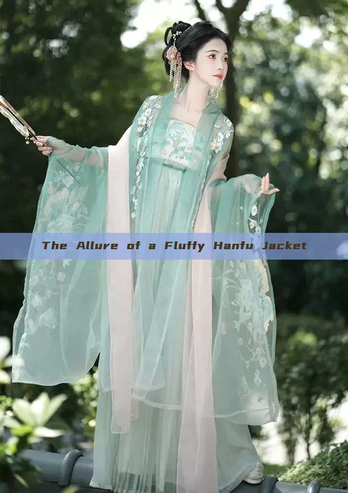 The Allure of a Fluffy Hanfu Jacket The Allure of a Fluffy Hanfu Jacket