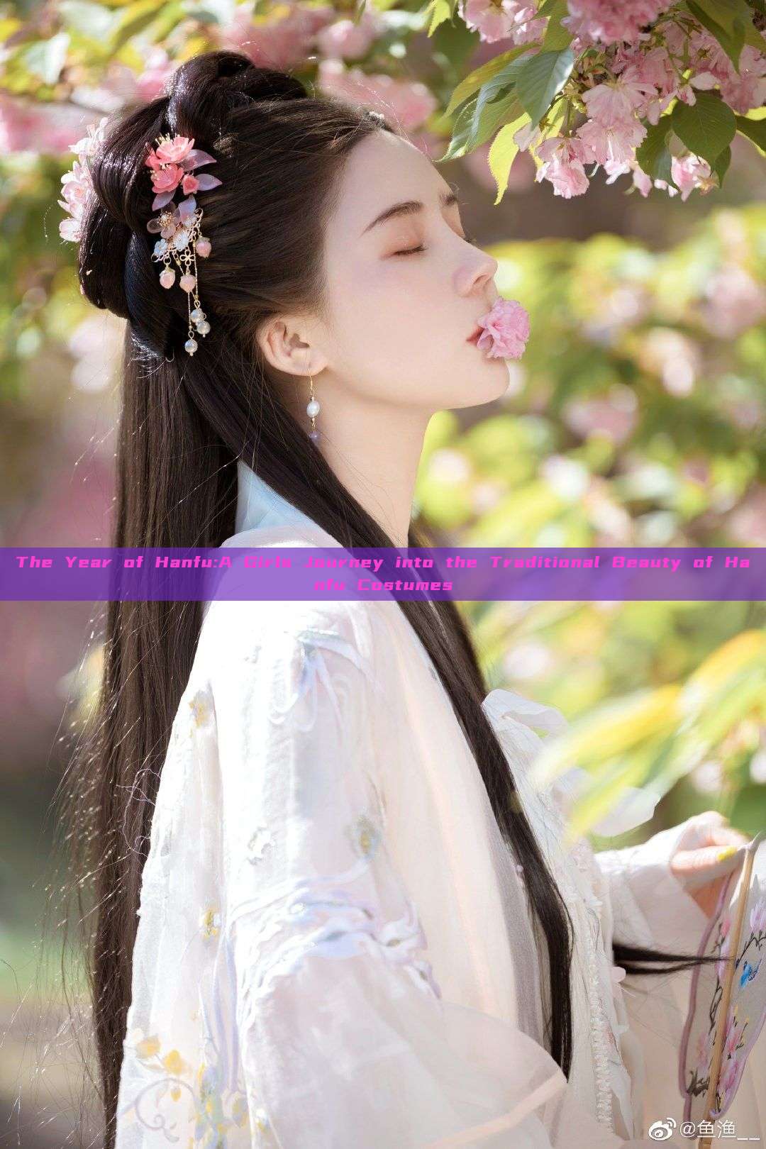 The Year of Hanfu:A Girls Journey into the Traditional Beauty of Hanfu Costumes The Year of Hanfu:A Girls Journey into the Traditional Beauty of Hanfu Costumes
