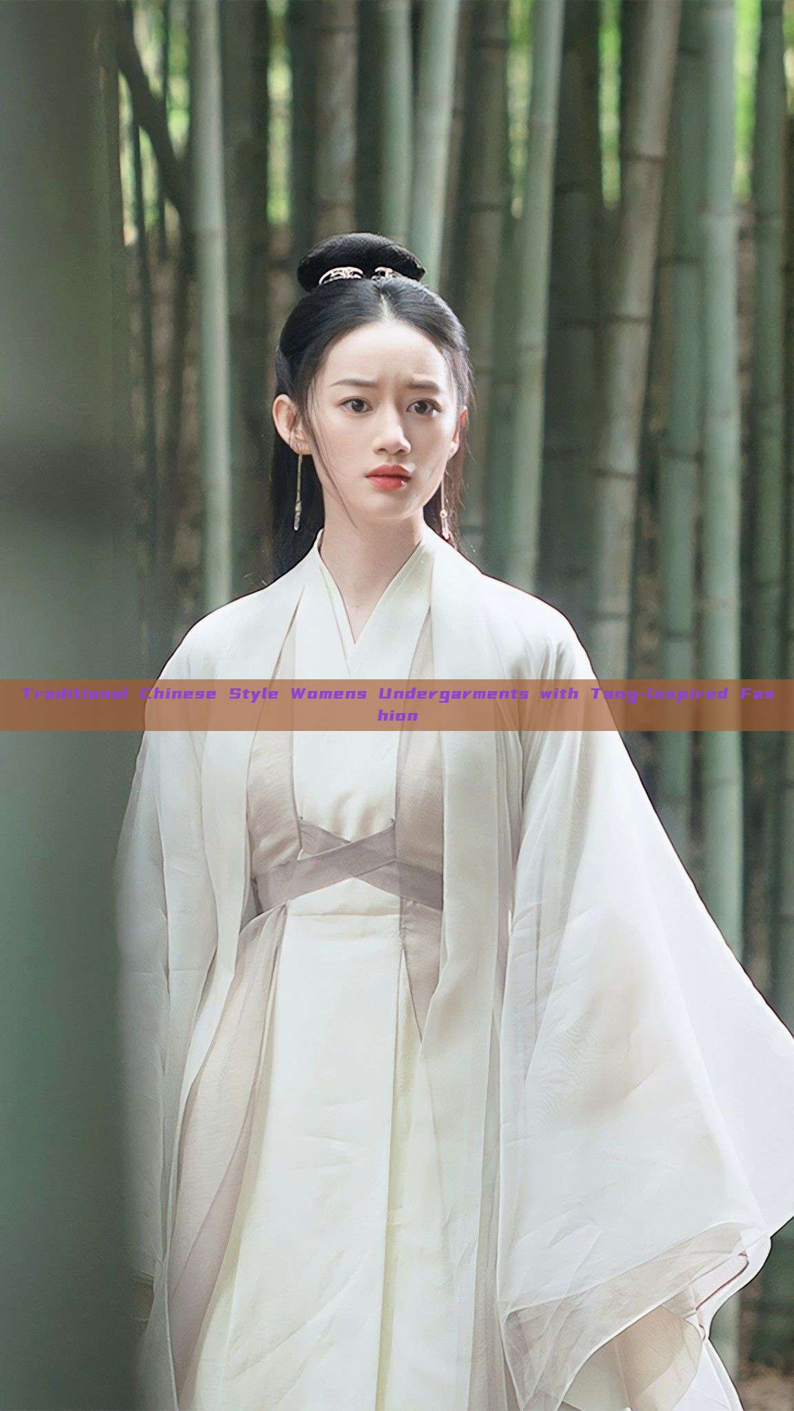 Traditional Chinese Style Womens Undergarments with Tang-Inspired Fashion Traditional Chinese Style Womens Undergarments with Tang-Inspired Fashion