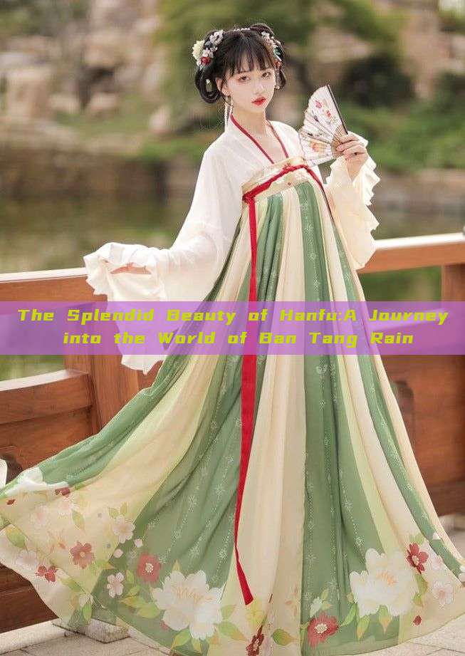 The Splendid Beauty of Hanfu:A Journey into the World of Ban Tang Rain The Splendid Beauty of Hanfu:A Journey into the World of Ban Tang Rain