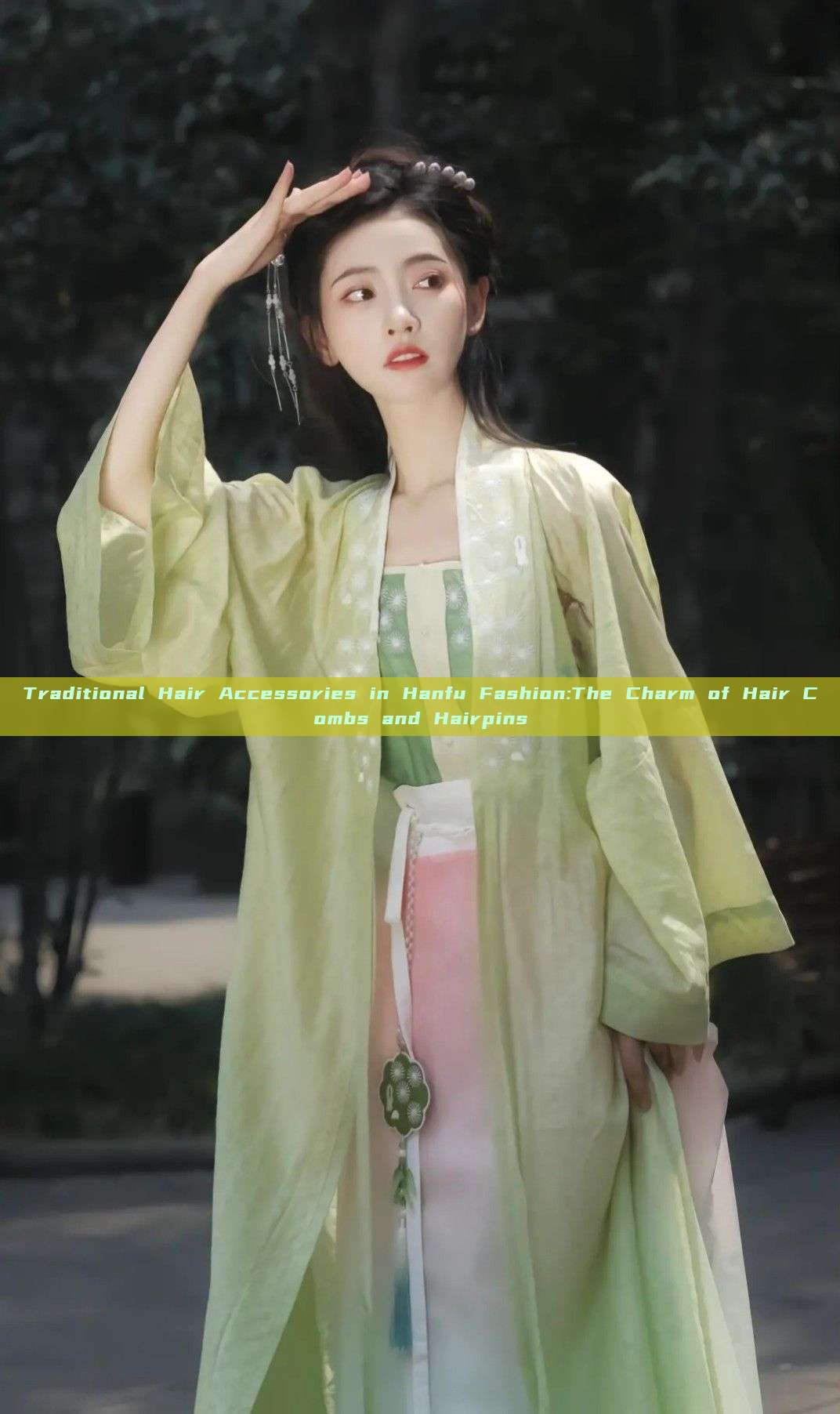 Traditional Hair Accessories in Hanfu Fashion:The Charm of Hair Combs and Hairpins Traditional Hair Accessories in Hanfu Fashion:The Charm of Hair Combs and Hairpins