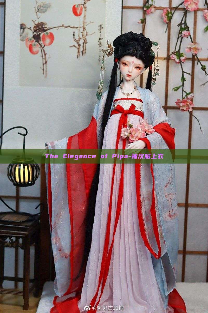 The Elegance of Pipa-袖汉服上衣 The Elegance of Pipa-袖汉服上衣