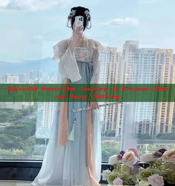 Splendid Hanfu:The Journey of Original Zhinmo Song Clothing Splendid Hanfu:The Journey of Original Zhinmo Song Clothing