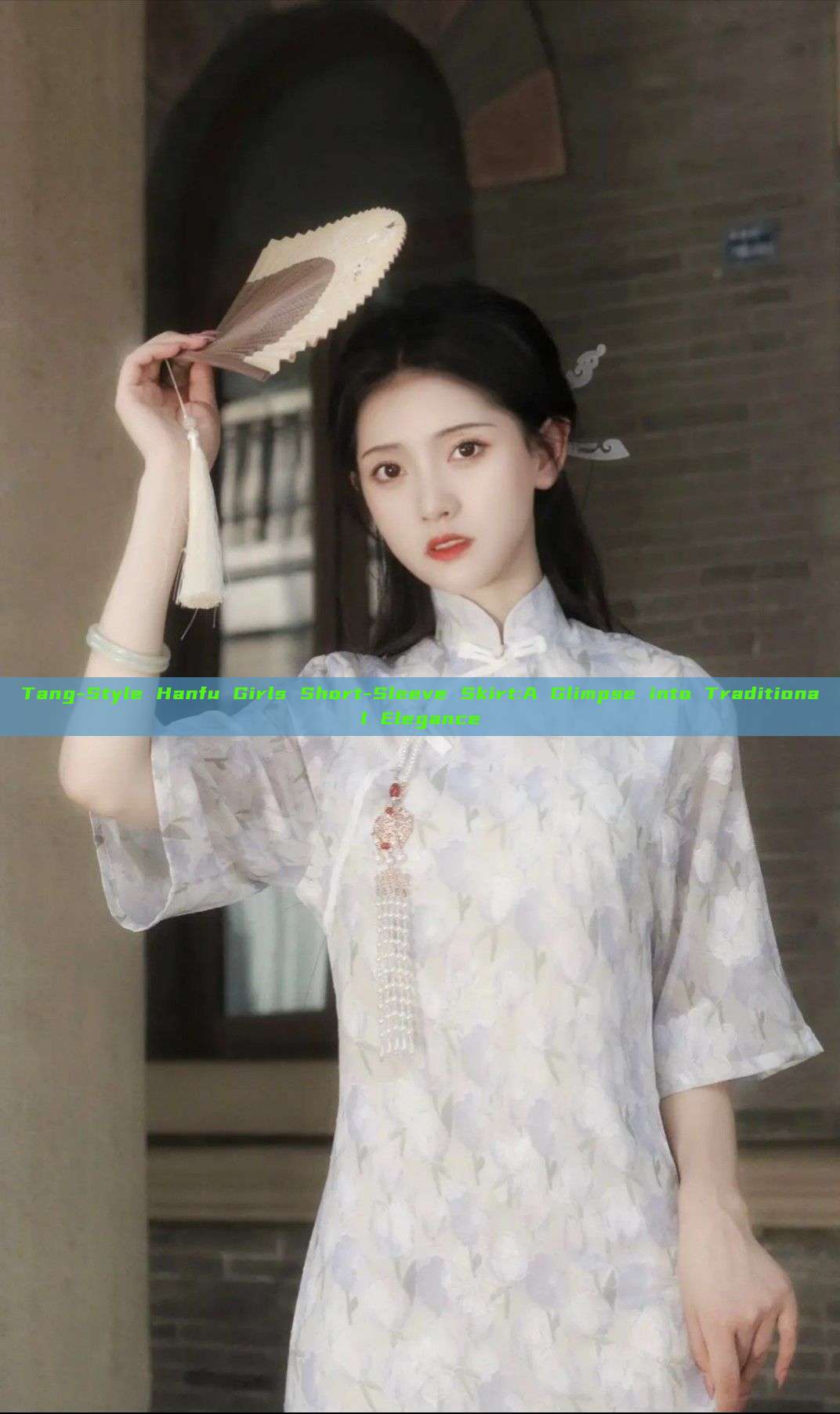 Tang-Style Hanfu Girls Short-Sleeve Skirt:A Glimpse into Traditional Elegance Tang-Style Hanfu Girls Short-Sleeve Skirt:A Glimpse into Traditional Elegance