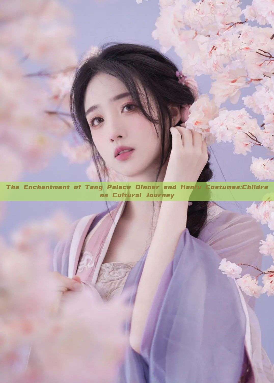 The Enchantment of Tang Palace Dinner and Hanfu Costumes:Childrens Cultural Journey The Enchantment of Tang Palace Dinner and Hanfu Costumes:Childrens Cultural Journey