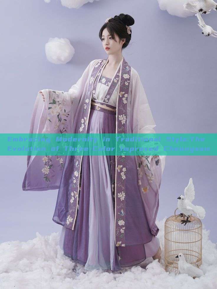 Embracing Modernity in Traditional Style:The Evolution of Three-Color Improved Cheongsam Embracing Modernity in Traditional Style:The Evolution of Three-Color Improved Cheongsam