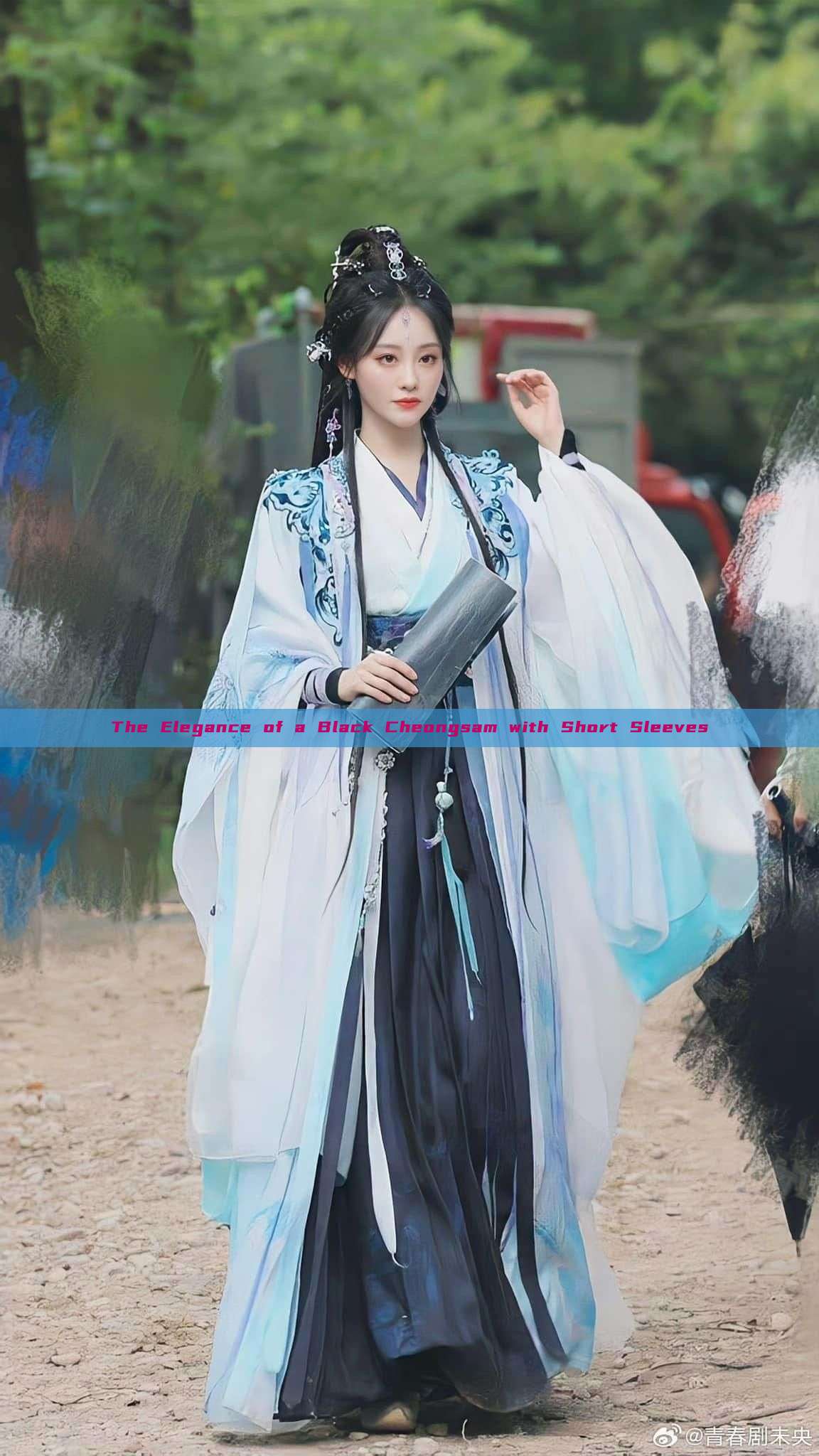 The Elegance of a Black Cheongsam with Short Sleeves The Elegance of a Black Cheongsam with Short Sleeves