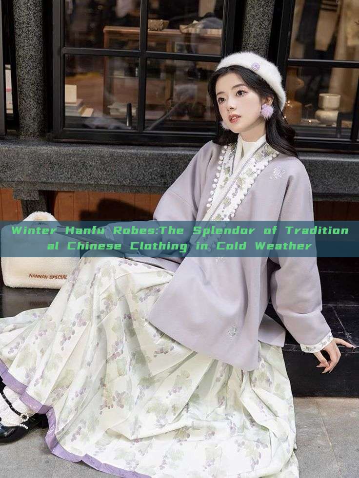 Winter Hanfu Robes:The Splendor of Traditional Chinese Clothing in Cold Weather Winter Hanfu Robes:The Splendor of Traditional Chinese Clothing in Cold Weather