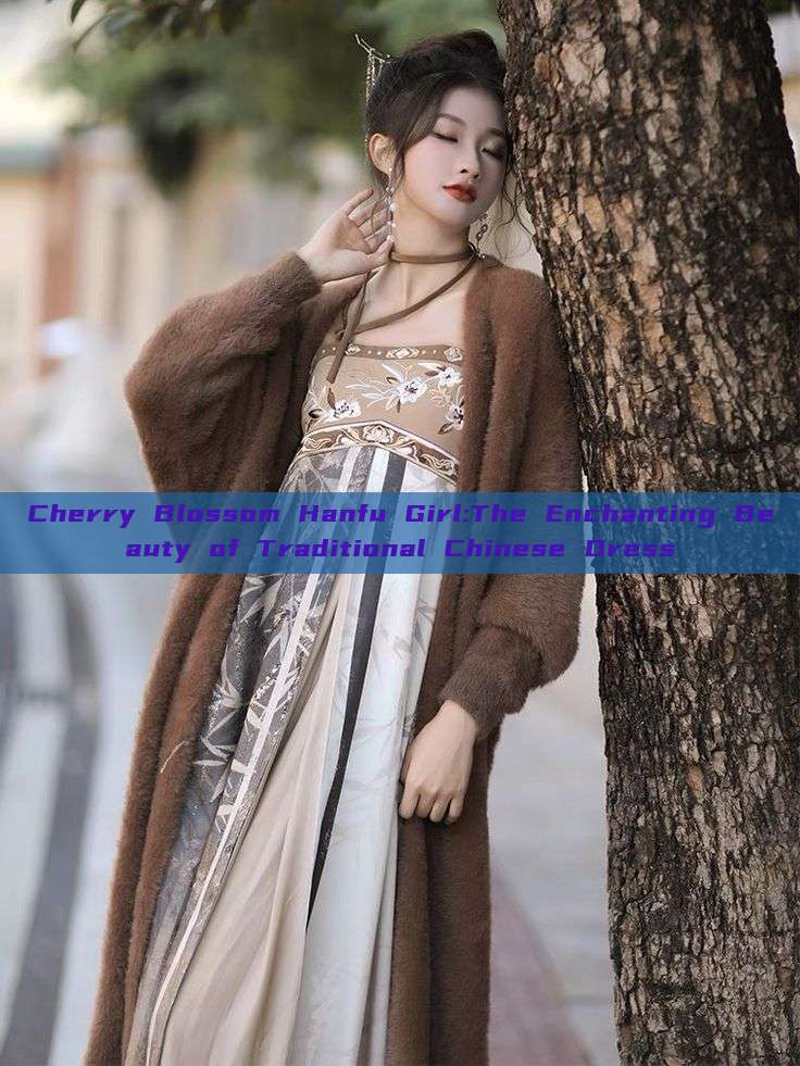 Cherry Blossom Hanfu Girl:The Enchanting Beauty of Traditional Chinese Dress Cherry Blossom Hanfu Girl:The Enchanting Beauty of Traditional Chinese Dress