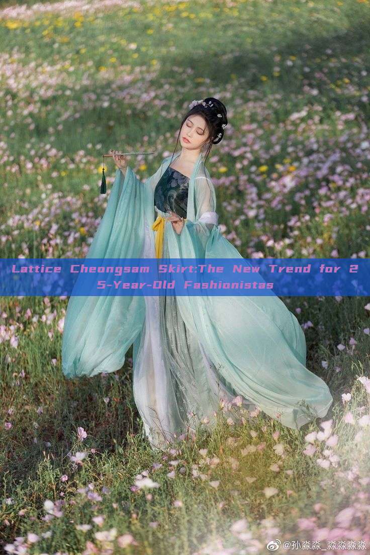 Lattice Cheongsam Skirt:The New Trend for 25-Year-Old Fashionistas Lattice Cheongsam Skirt:The New Trend for 25-Year-Old Fashionistas
