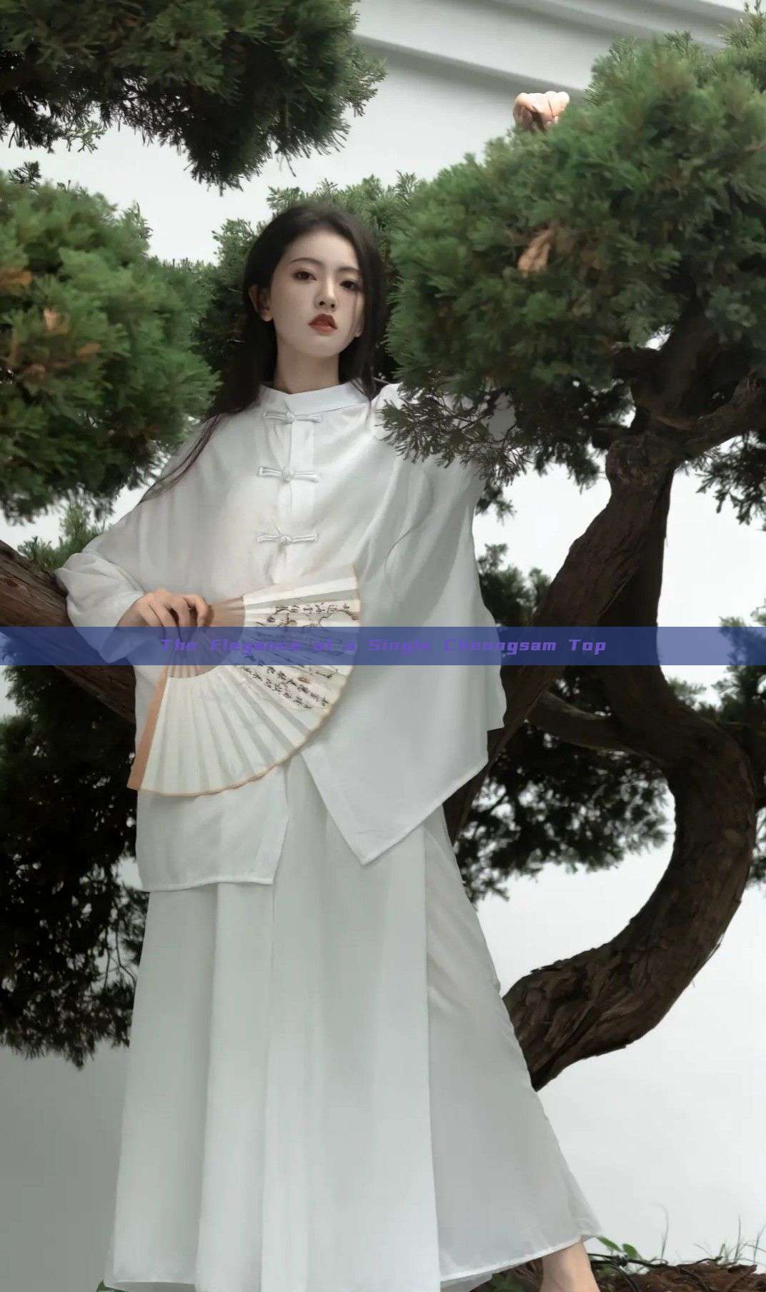 The Elegance of a Single Cheongsam Top The Elegance of a Single Cheongsam Top
