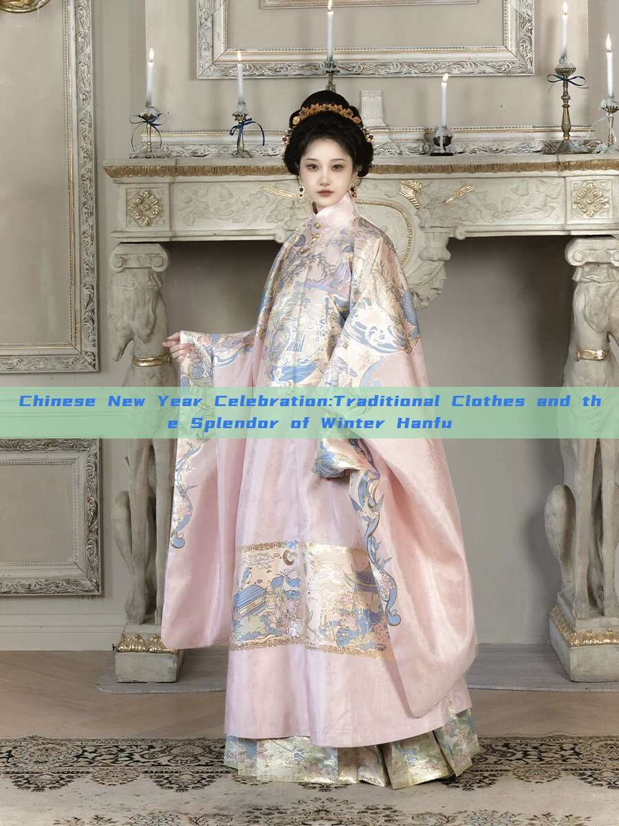 Chinese New Year Celebration:Traditional Clothes and the Splendor of Winter Hanfu Chinese New Year Celebration:Traditional Clothes and the Splendor of Winter Hanfu