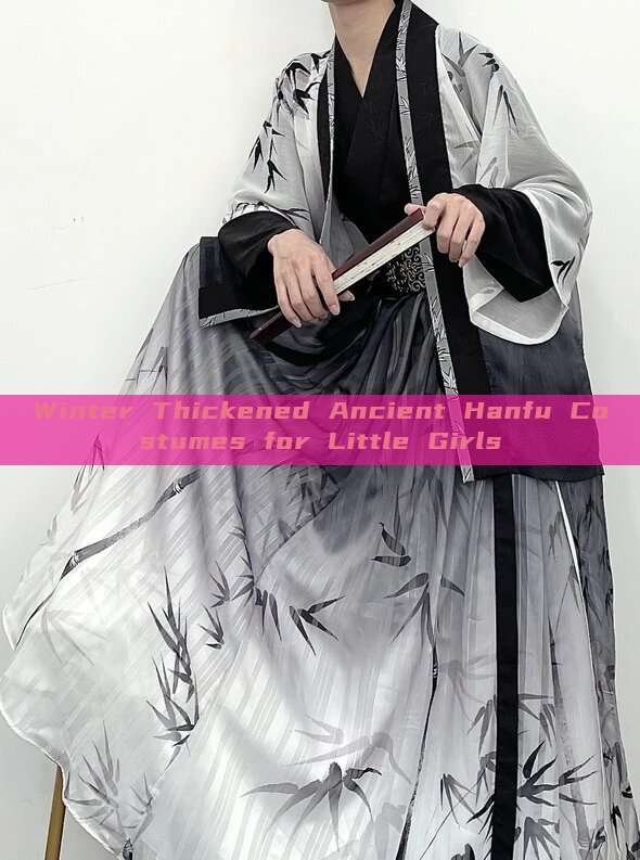 Winter Thickened Ancient Hanfu Costumes for Little Girls Winter Thickened Ancient Hanfu Costumes for Little Girls