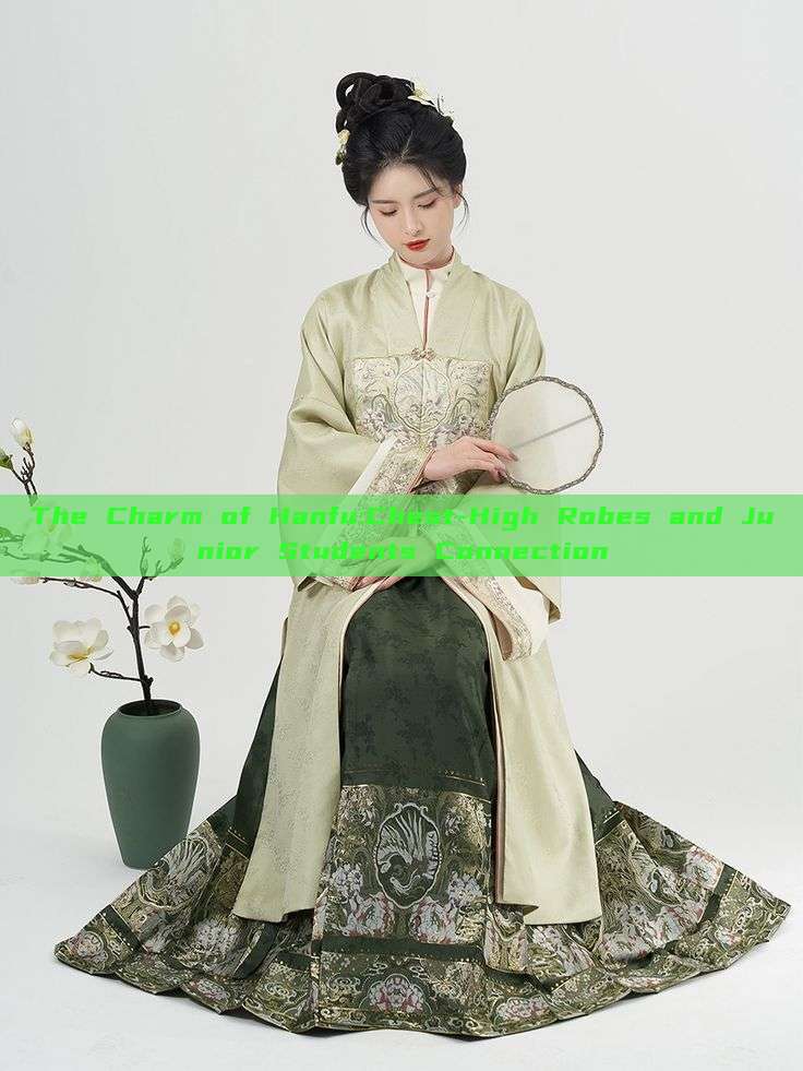 The Charm of Hanfu:Chest-High Robes and Junior Students Connection The Charm of Hanfu:Chest-High Robes and Junior Students Connection