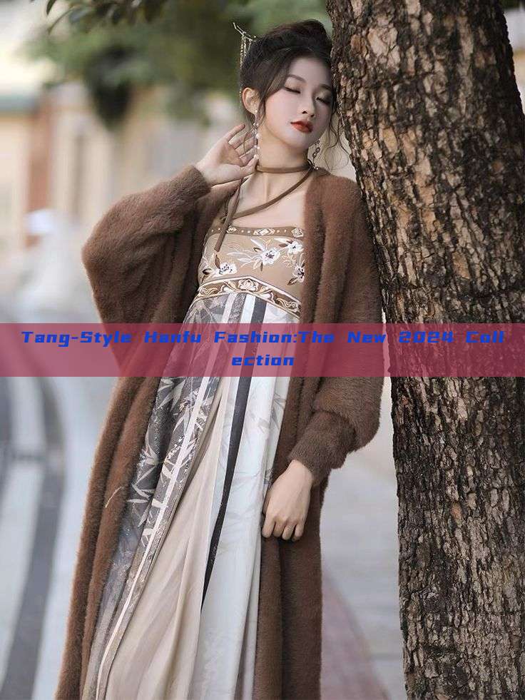 Tang-Style Hanfu Fashion:The New 2024 Collection Tang-Style Hanfu Fashion:The New 2024 Collection