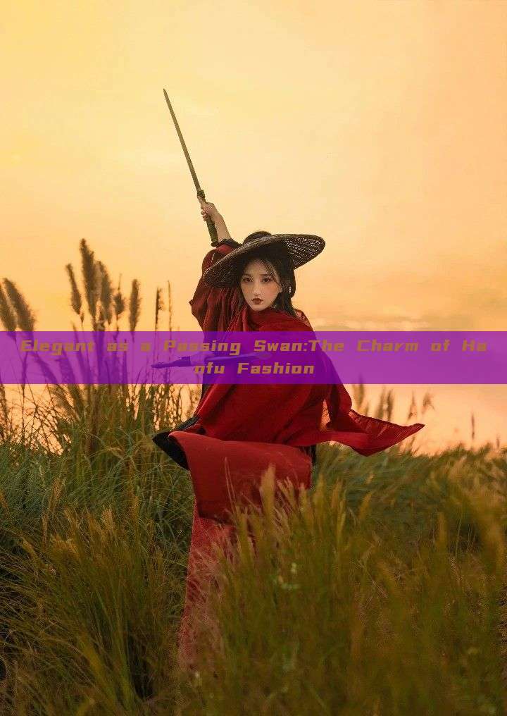 Elegant as a Passing Swan:The Charm of Hanfu Fashion Elegant as a Passing Swan:The Charm of Hanfu Fashion
