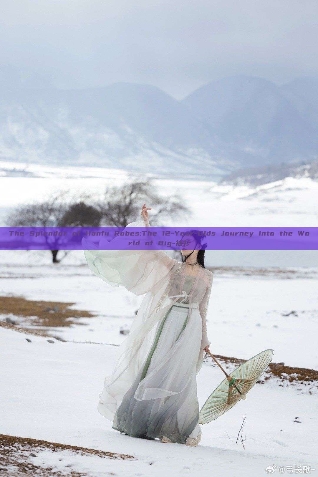 The Splendor of Hanfu Robes:The 12-Year-Olds Journey into the World of Big-袖衫 The Splendor of Hanfu Robes:The 12-Year-Olds Journey into the World of Big-袖衫