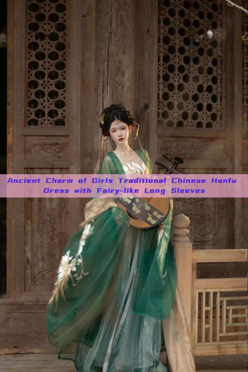 Ancient Charm of Girls Traditional Chinese Hanfu Dress with Fairy-like Long Sleeves Ancient Charm of Girls Traditional Chinese Hanfu Dress with Fairy-like Long Sleeves