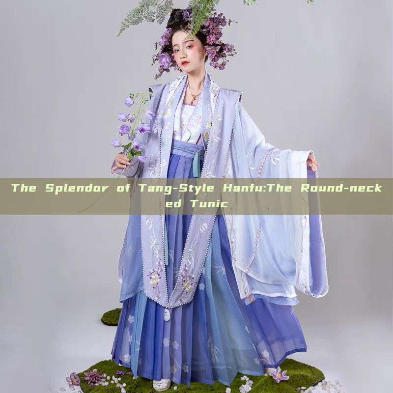 The Splendor of Tang-Style Hanfu:The Round-necked Tunic The Splendor of Tang-Style Hanfu:The Round-necked Tunic