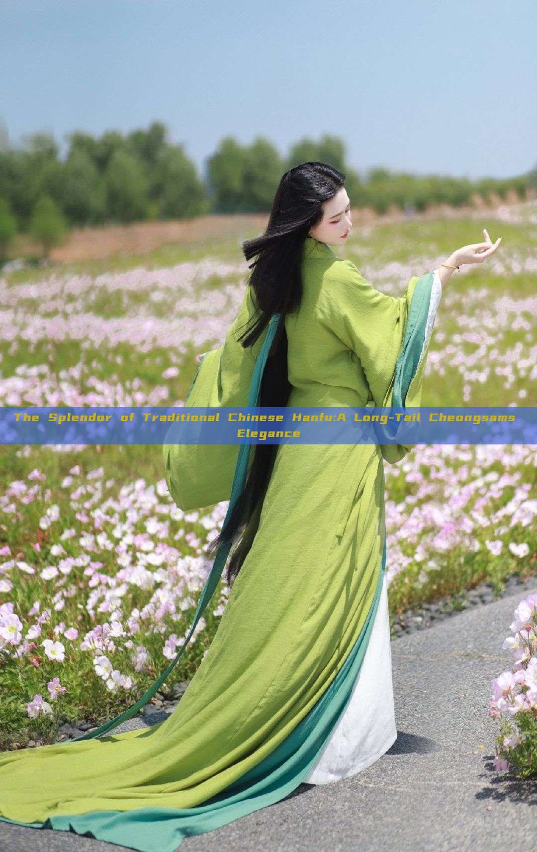The Splendor of Traditional Chinese Hanfu:A Long-Tail Cheongsams Elegance The Splendor of Traditional Chinese Hanfu:A Long-Tail Cheongsams Elegance