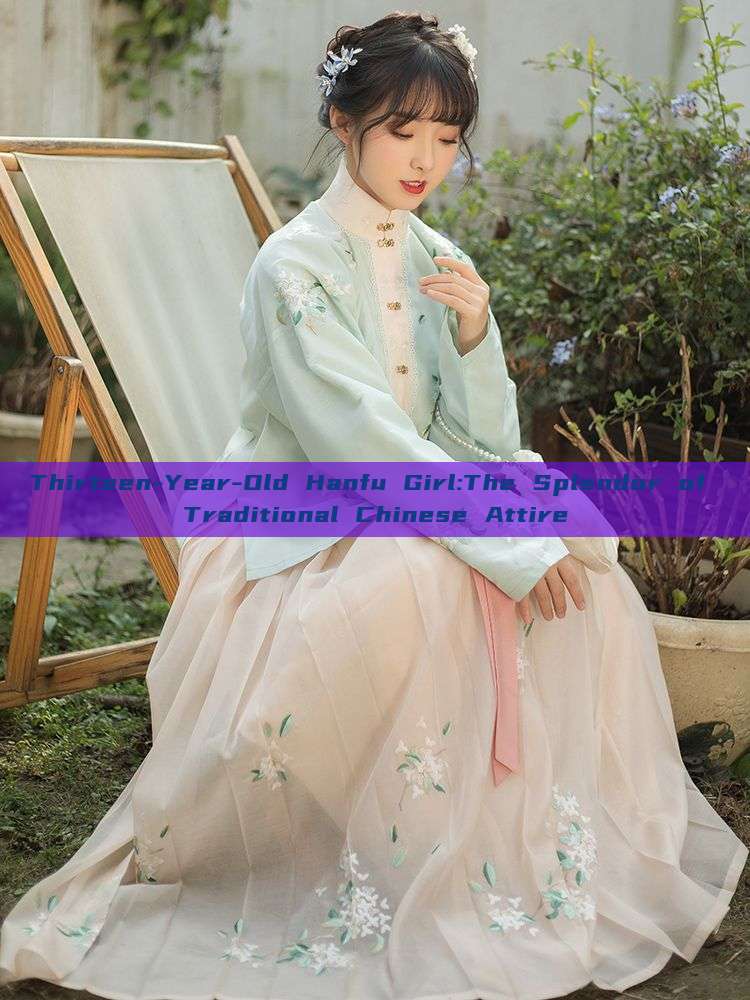 Thirteen-Year-Old Hanfu Girl:The Splendor of Traditional Chinese Attire Thirteen-Year-Old Hanfu Girl:The Splendor of Traditional Chinese Attire