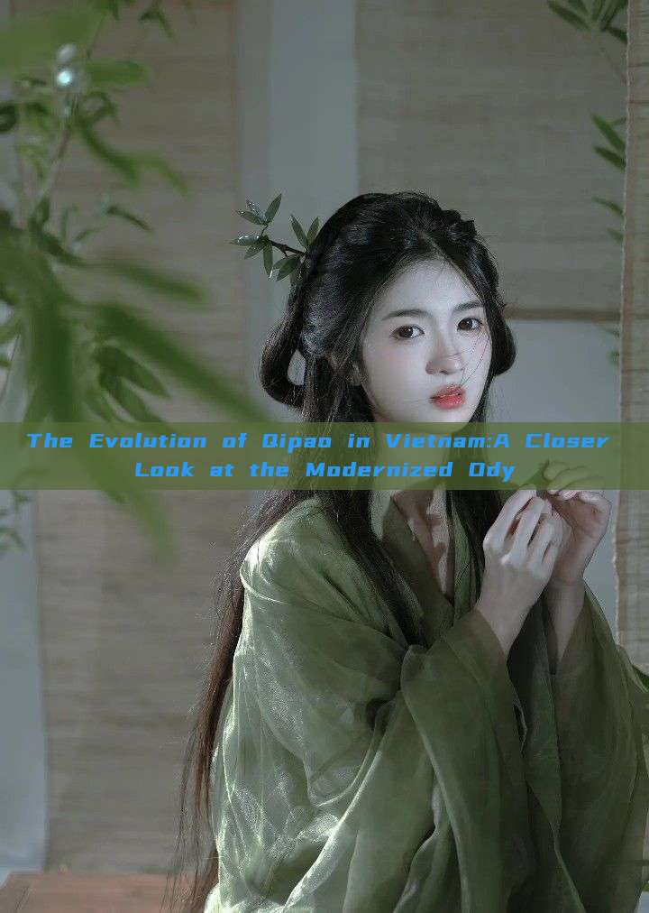 The Evolution of Qipao in Vietnam:A Closer Look at the Modernized Ody The Evolution of Qipao in Vietnam:A Closer Look at the Modernized Ody