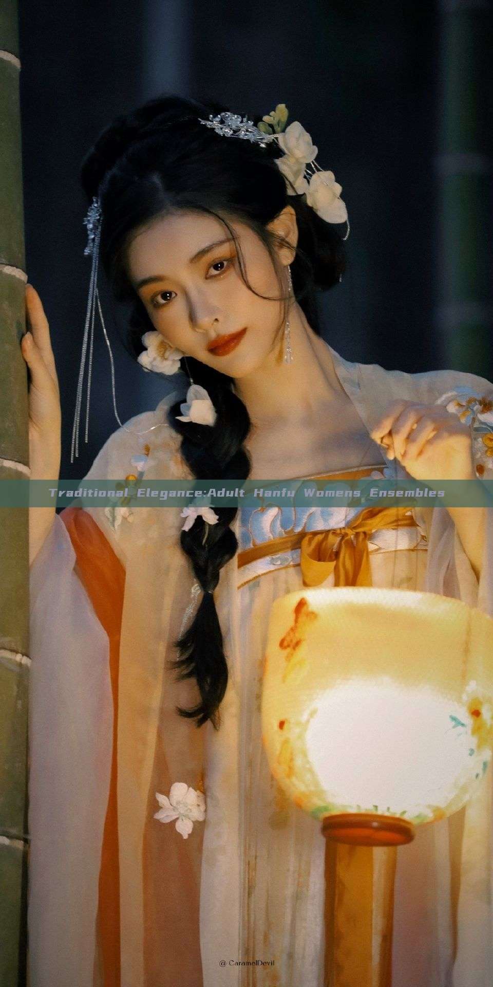 Traditional Elegance:Adult Hanfu Womens Ensembles Traditional Elegance:Adult Hanfu Womens Ensembles