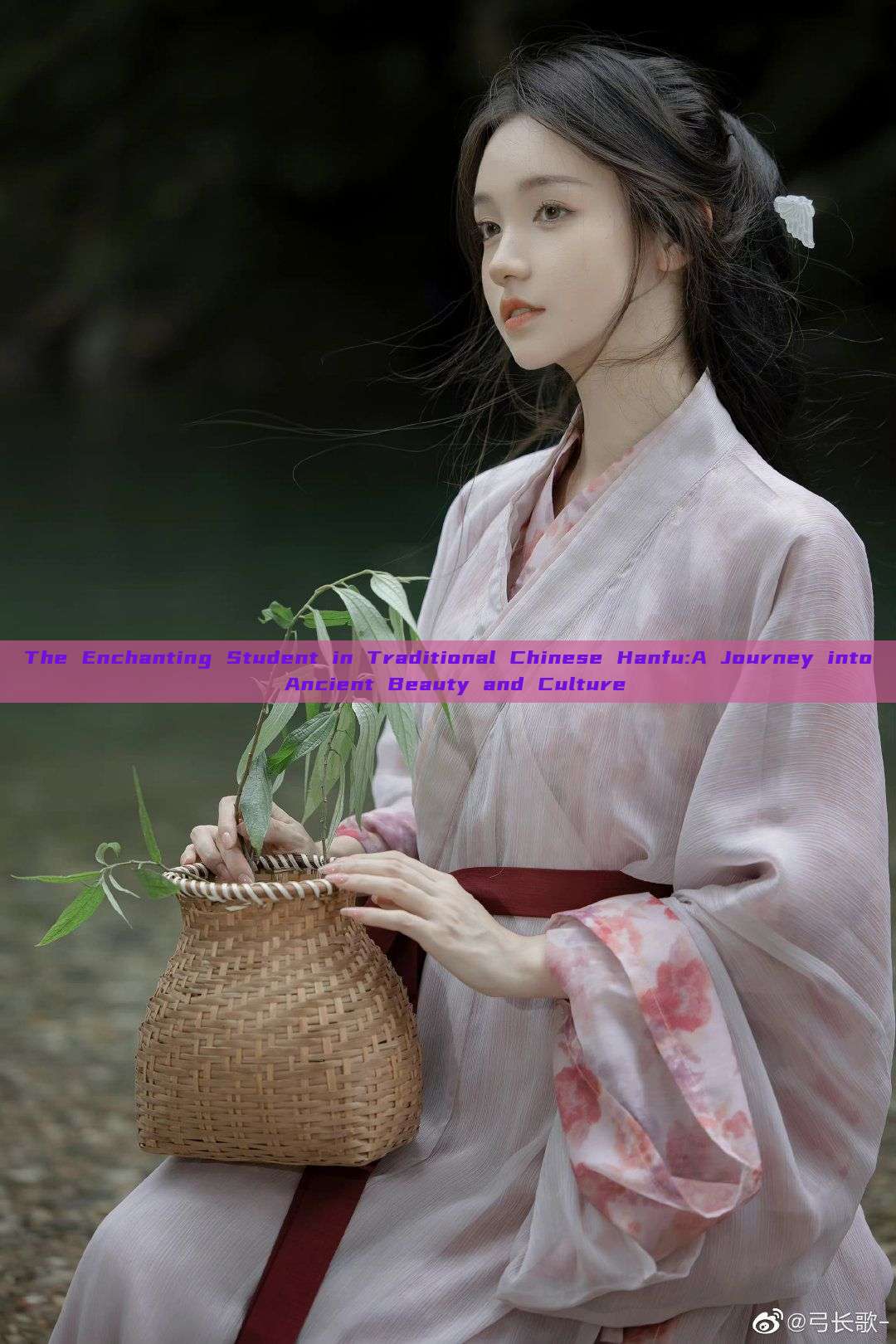 The Enchanting Student in Traditional Chinese Hanfu:A Journey into Ancient Beauty and Culture The Enchanting Student in Traditional Chinese Hanfu:A Journey into Ancient Beauty and Culture